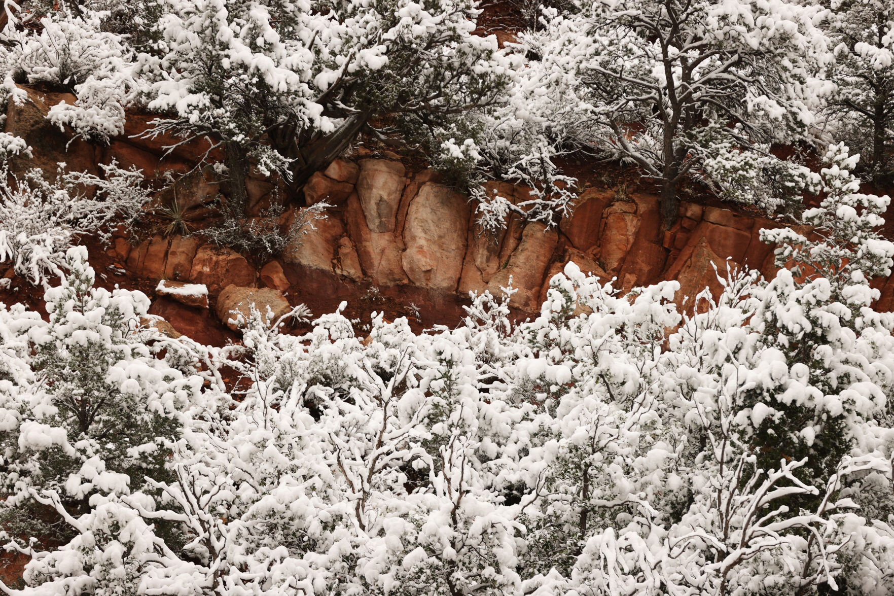 091020-news-snow 25.jpg